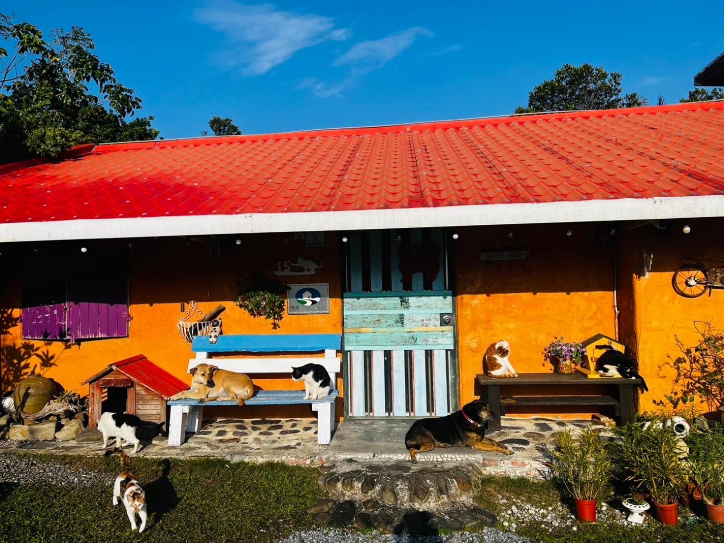 Cat Sky Country Homestay Саншинг Екстериор снимка
