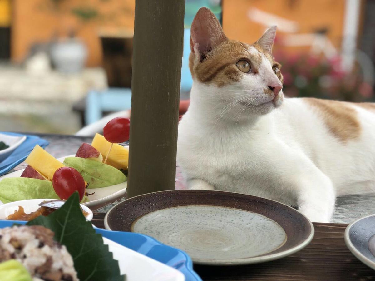 Cat Sky Country Homestay Саншинг Екстериор снимка